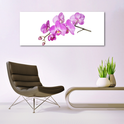 Quadro vetro Orchidea Fiori di orchidea