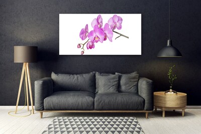 Quadro vetro Orchidea Fiori di orchidea