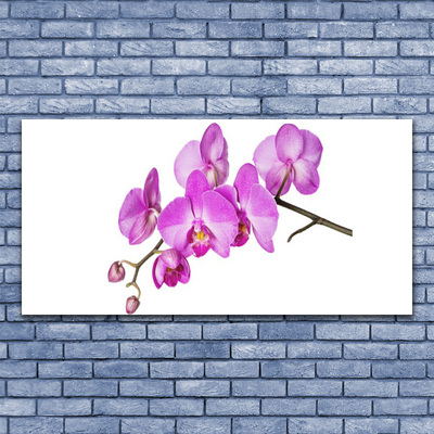 Quadro vetro Orchidea Fiori di orchidea