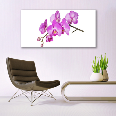 Quadro vetro Orchidea Fiori di orchidea