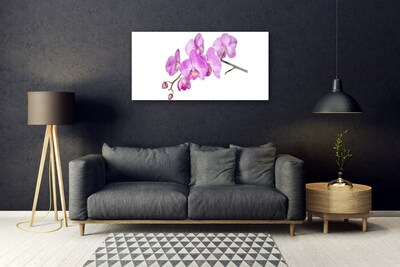 Quadro vetro Orchidea Fiori di orchidea