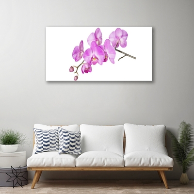 Quadro vetro Orchidea Fiori di orchidea