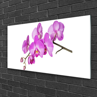 Quadro vetro Orchidea Fiori di orchidea