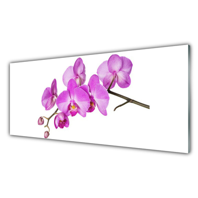 Quadro vetro Orchidea Fiori di orchidea