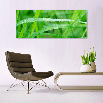 Quadro in vetro Gocce di foglie di natura rosata