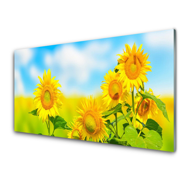 Quadro su vetro Girasole Fiori della natura