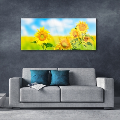 Quadro su vetro Girasole Fiori della natura