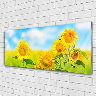 Quadro su vetro Girasole Fiori della natura