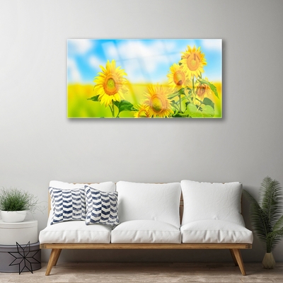 Quadro su vetro Girasole Fiori della natura