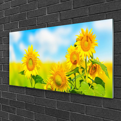 Quadro su vetro Girasole Fiori della natura