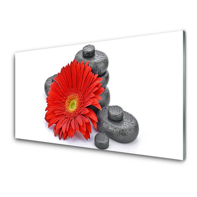 Quadro in vetro Fiori di gerbera rossi