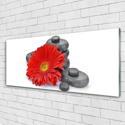 Quadro in vetro Fiori di gerbera rossi