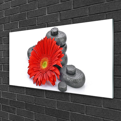 Quadro in vetro Fiori di gerbera rossi