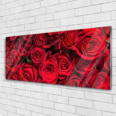 Quadro in vetro Rose rosse Fiori di natura