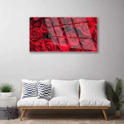 Quadro in vetro Rose rosse Fiori di natura