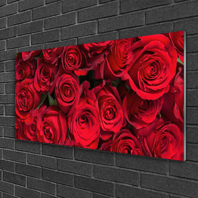 Quadro in vetro Rose rosse Fiori di natura