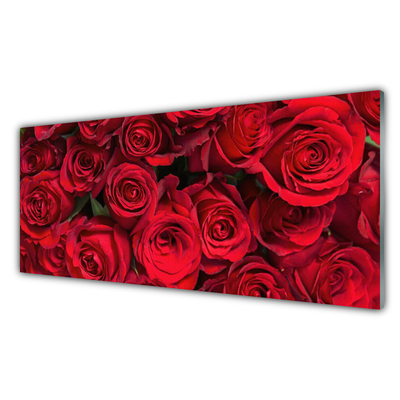 Quadro in vetro Rose rosse Fiori di natura