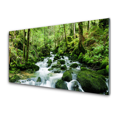 Quadro su vetro Foresta Ruscello Cascate Fiume