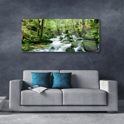 Quadro su vetro Foresta Ruscello Cascate Fiume