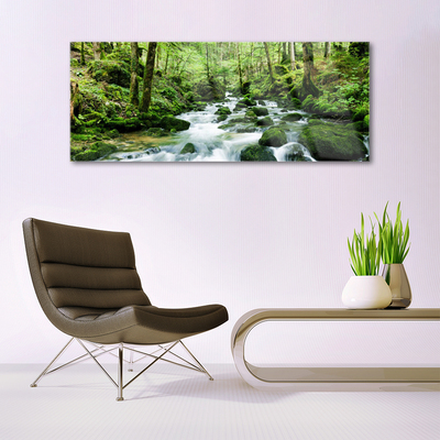 Quadro su vetro Foresta Ruscello Cascate Fiume