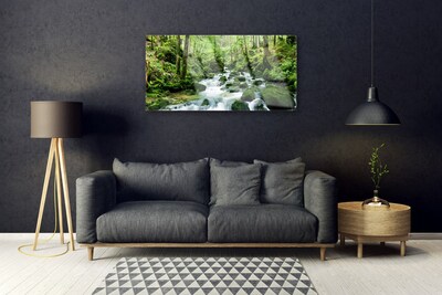 Quadro su vetro Foresta Ruscello Cascate Fiume