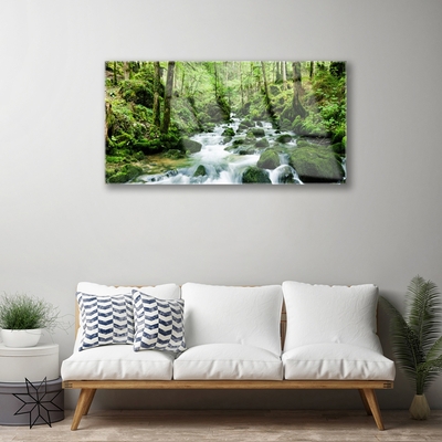 Quadro su vetro Foresta Ruscello Cascate Fiume