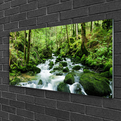 Quadro su vetro Foresta Ruscello Cascate Fiume