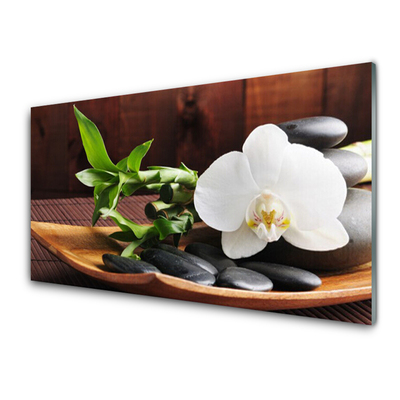 Quadro su vetro Bambù Zen Orchidea bianca