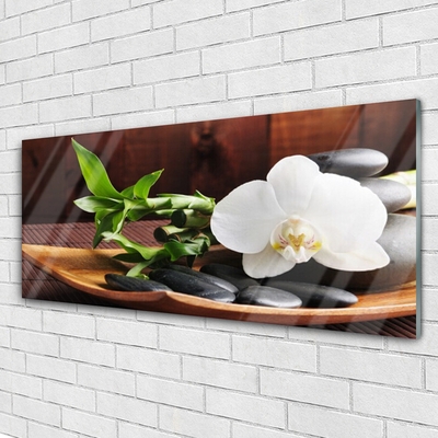 Quadro su vetro Bambù Zen Orchidea bianca