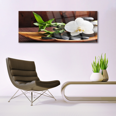 Quadro su vetro Bambù Zen Orchidea bianca