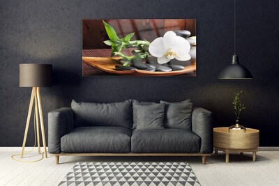 Quadro su vetro Bambù Zen Orchidea bianca