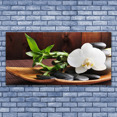 Quadro su vetro Bambù Zen Orchidea bianca