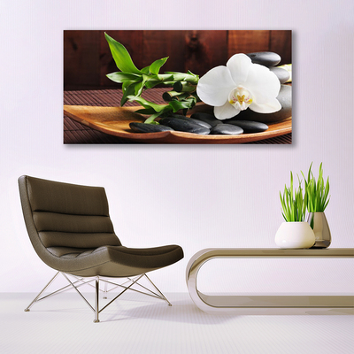 Quadro su vetro Bambù Zen Orchidea bianca