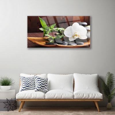 Quadro su vetro Bambù Zen Orchidea bianca