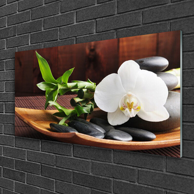 Quadro su vetro Bambù Zen Orchidea bianca