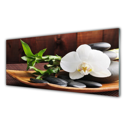 Quadro su vetro Bambù Zen Orchidea bianca