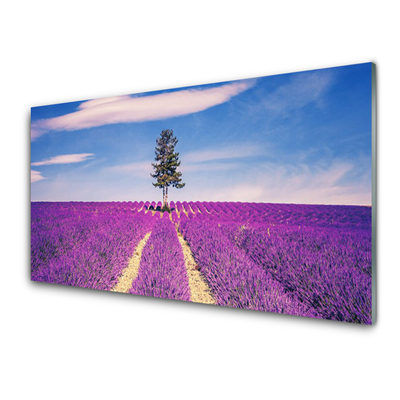 Quadro su vetro Albero del campo di lavanda