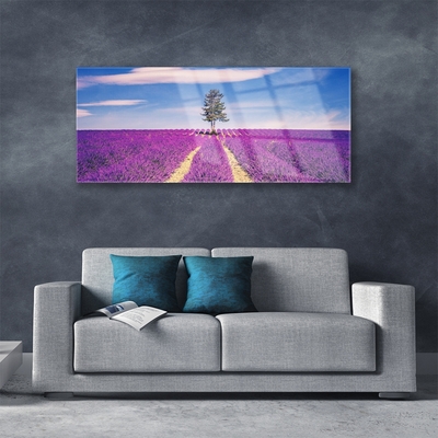 Quadro su vetro Albero del campo di lavanda