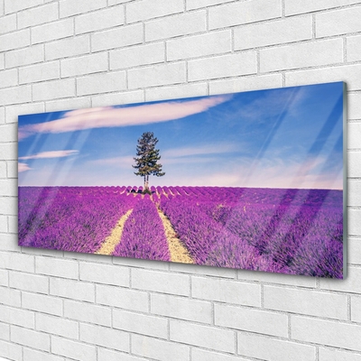 Quadro su vetro Albero del campo di lavanda