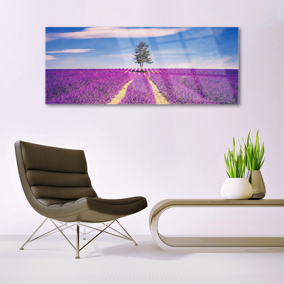 Quadro su vetro Albero del campo di lavanda