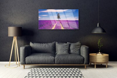 Quadro su vetro Albero del campo di lavanda