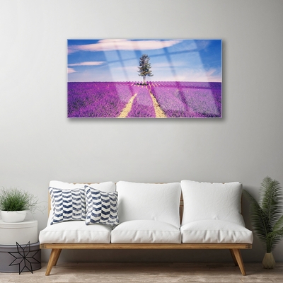 Quadro su vetro Albero del campo di lavanda