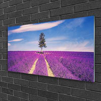 Quadro su vetro Albero del campo di lavanda