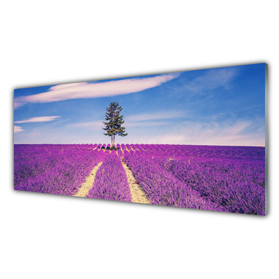 Quadro su vetro Albero del campo di lavanda