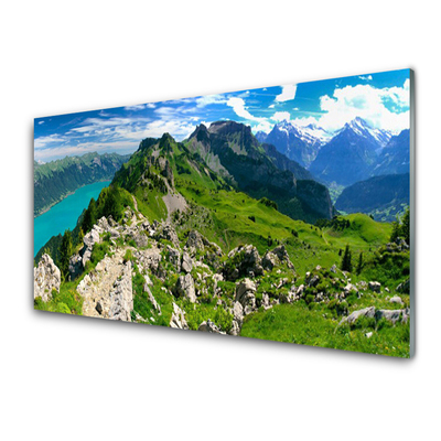 Quadro in vetro Prato Montagne Paesaggio Natura