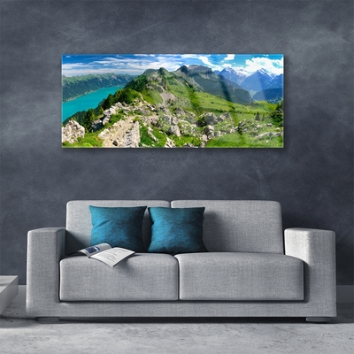 Quadro in vetro Prato Montagne Paesaggio Natura