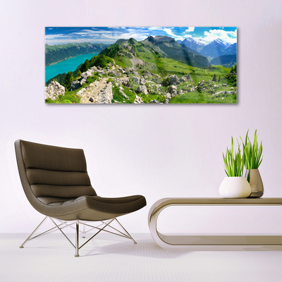 Quadro in vetro Prato Montagne Paesaggio Natura