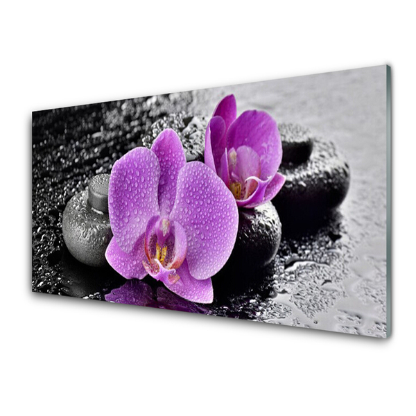 Quadro vetro Fiori di Orchidea Spa