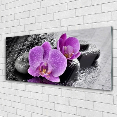 Quadro vetro Fiori di Orchidea Spa