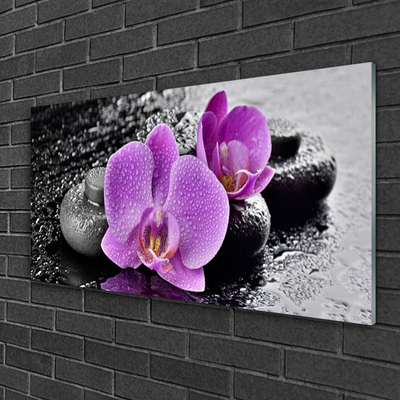 Quadro vetro Fiori di Orchidea Spa